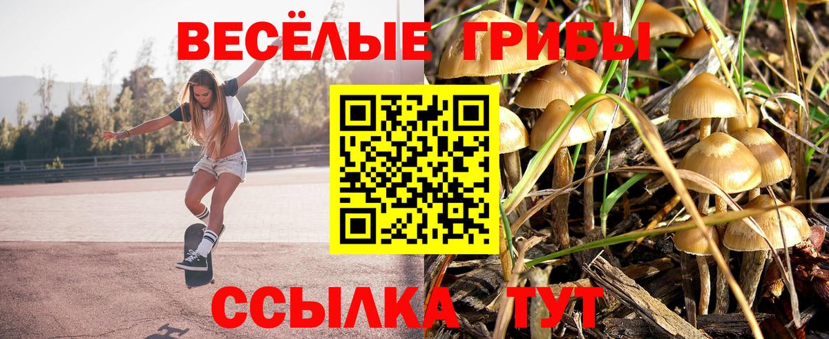 Псилоцибиновые грибы GOLDEN TEACHER  Вход с VPN  Елабуга 